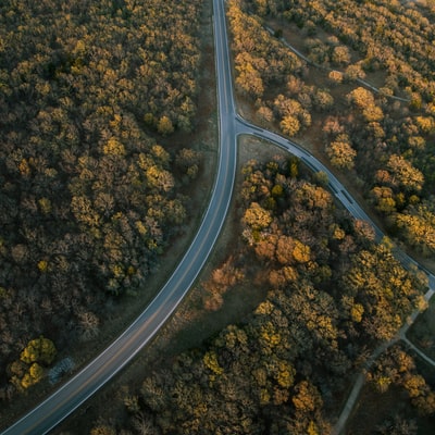 航空摄影的道路和树木
